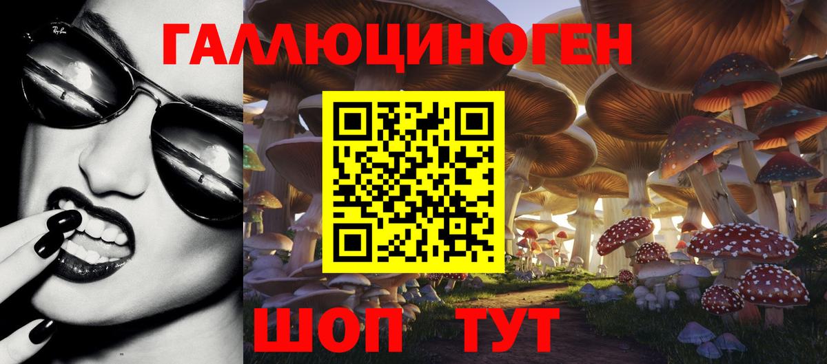 Псилоцибиновые грибы Psilocybine cubensis  Псилоцибиновые грибы прущие грибы  даркнет сайт  Вход с VPN  Ульяновск 
